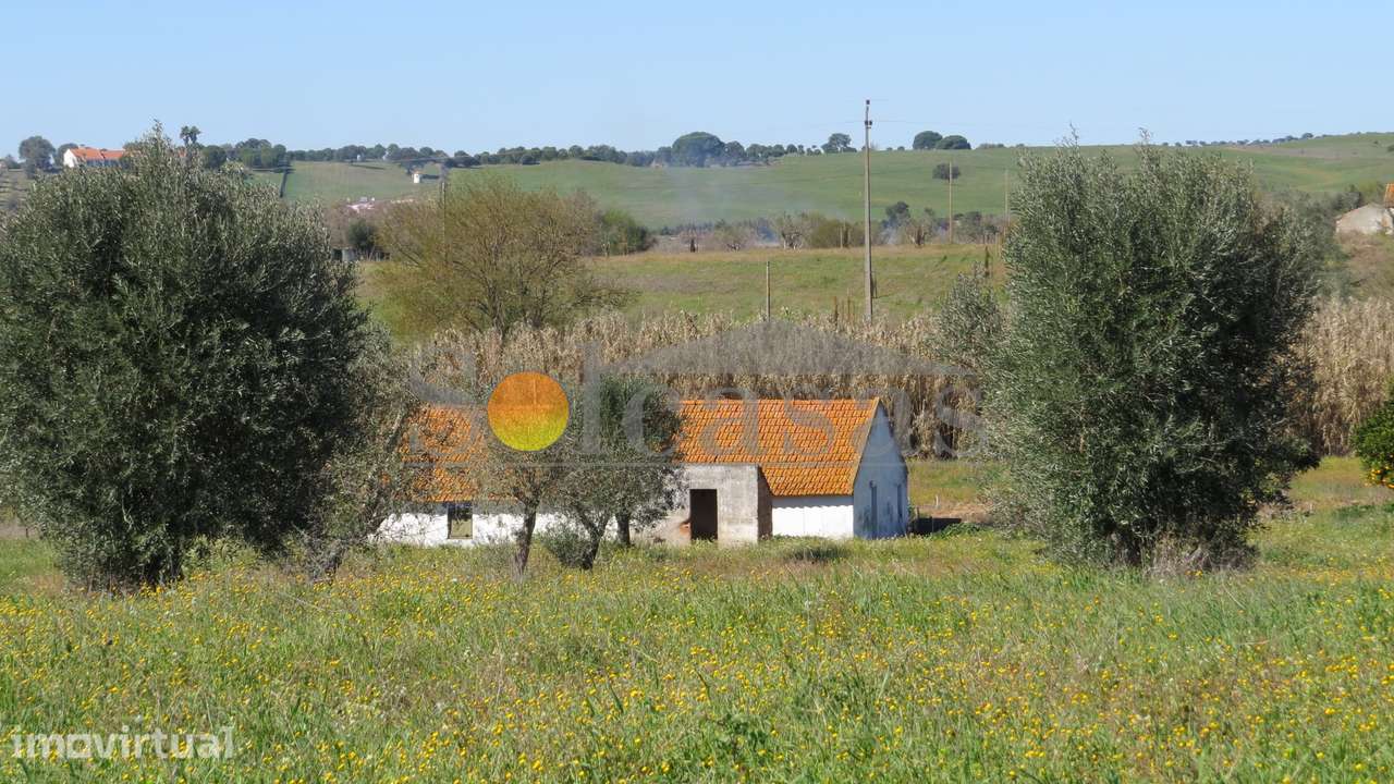 Quinta perto de Alcácer do Sal - Grande imagem: 3/16