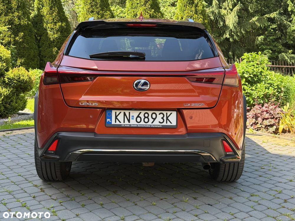 Lexus UX 250h GPF F Sport AWD - 21