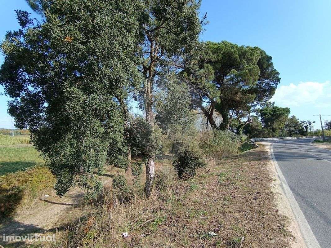 Terreno  para venda - Grande imagem: 4/10