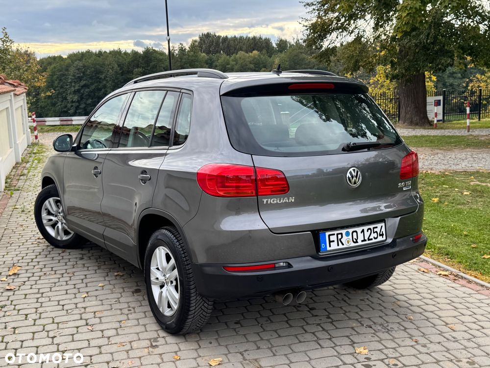 Volkswagen Tiguan - 11