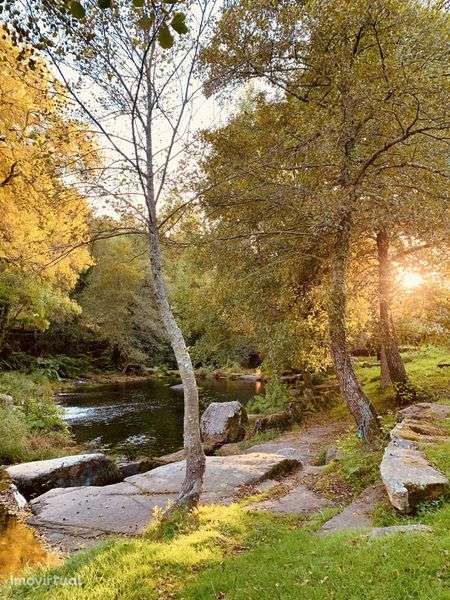 Quintinha no alto minho - Grande imagem: 2/12