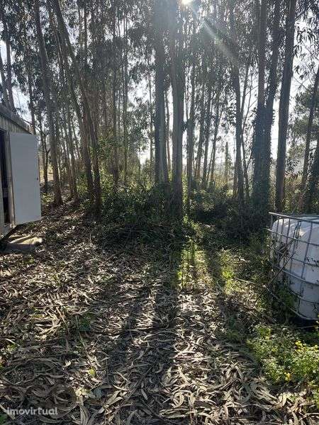 Terreno com contentor Famalicão/Nazaré - Grande imagem: 2/11