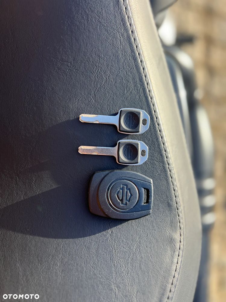 Harley-Davidson Sportster Nightster 975 - 4