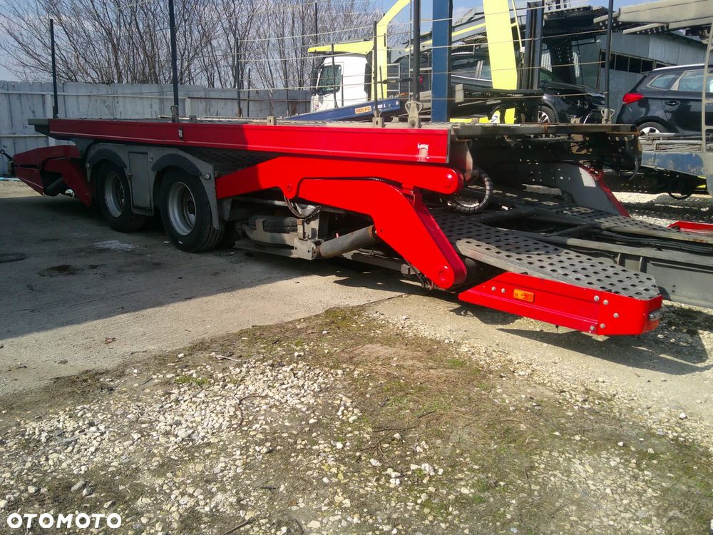 Rolfo pegasus - 1