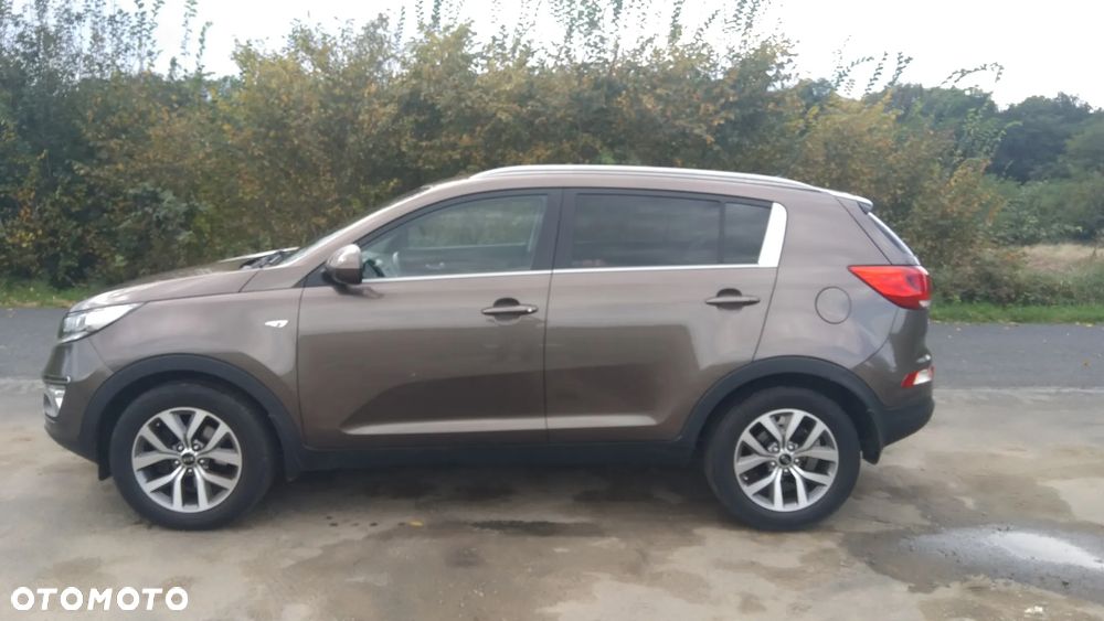 Kia Sportage - 1