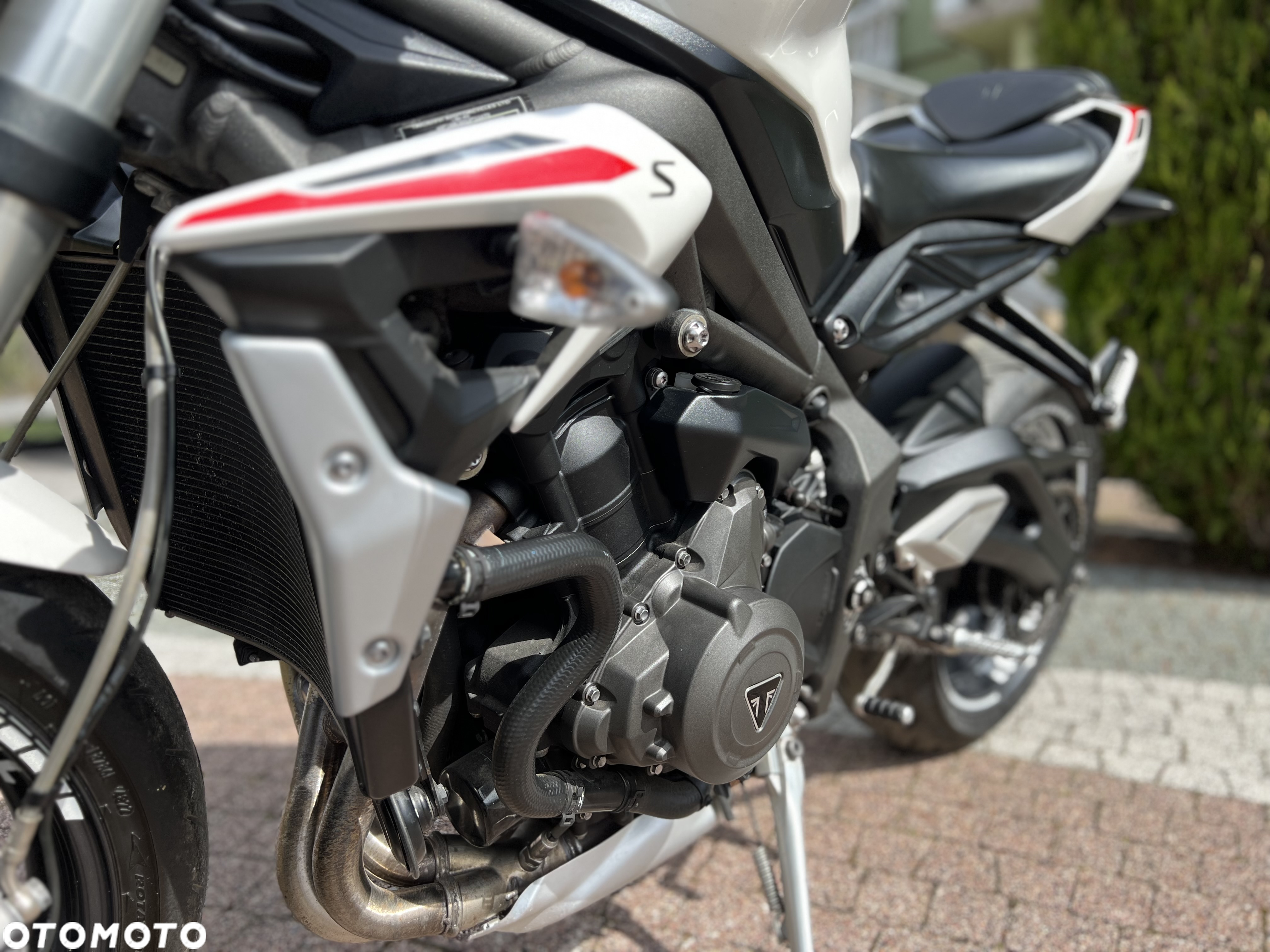 Triumph Street Triple - 31