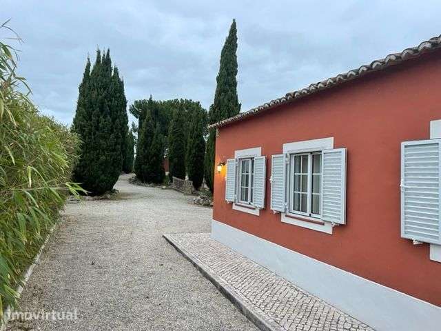 MORADIA T2 Isolada - Vista Deslumbrante - Grande imagem: 4/13