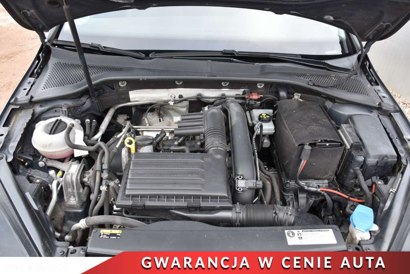 Volkswagen Golf - 29