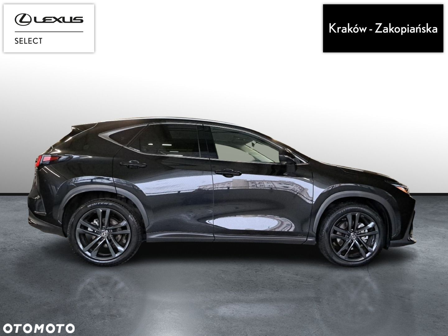 Lexus NX - 5