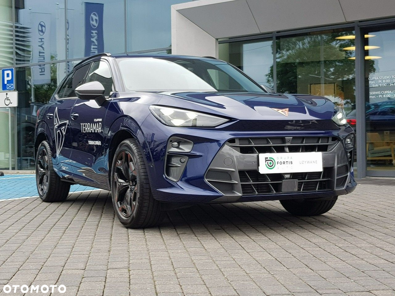 Cupra Terramar - 11
