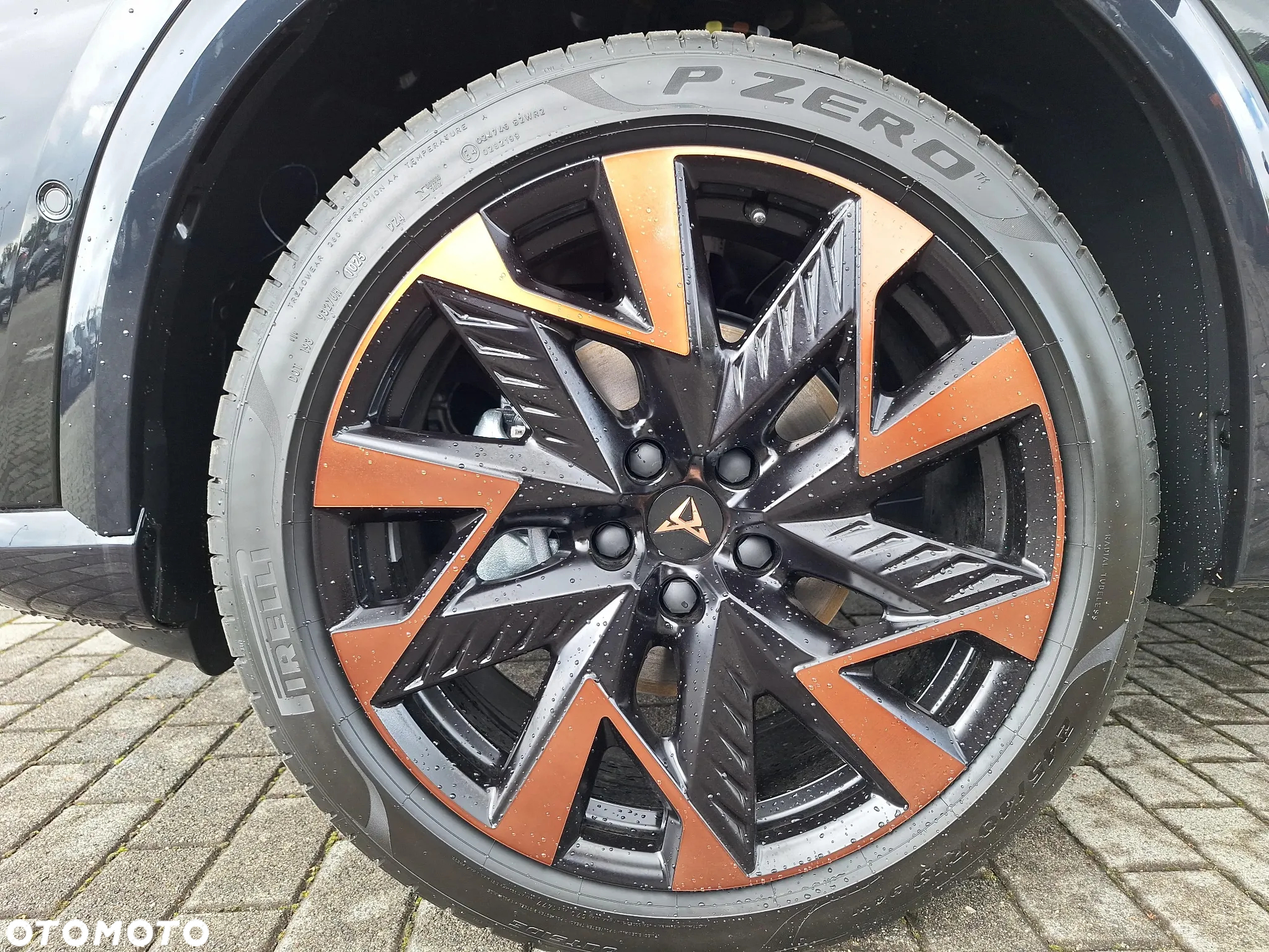 Cupra Formentor 1.5 TSI DSG - 9