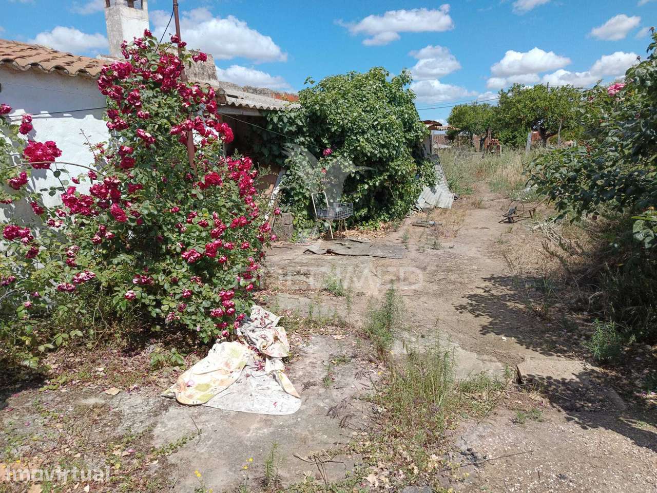 Moradia Terrea c/Quintal - Grande imagem: 3/20
