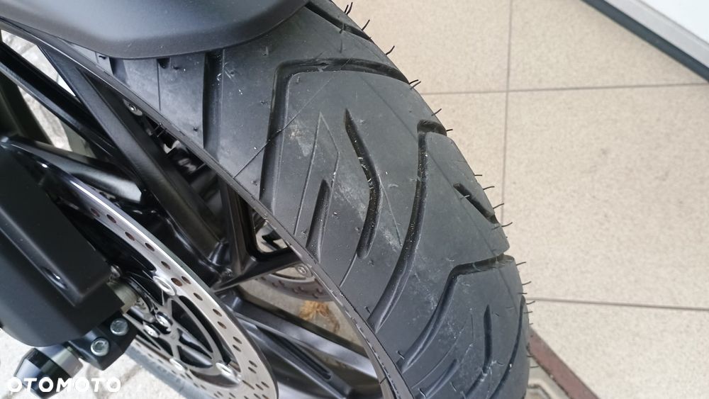 Triumph Tiger - 26