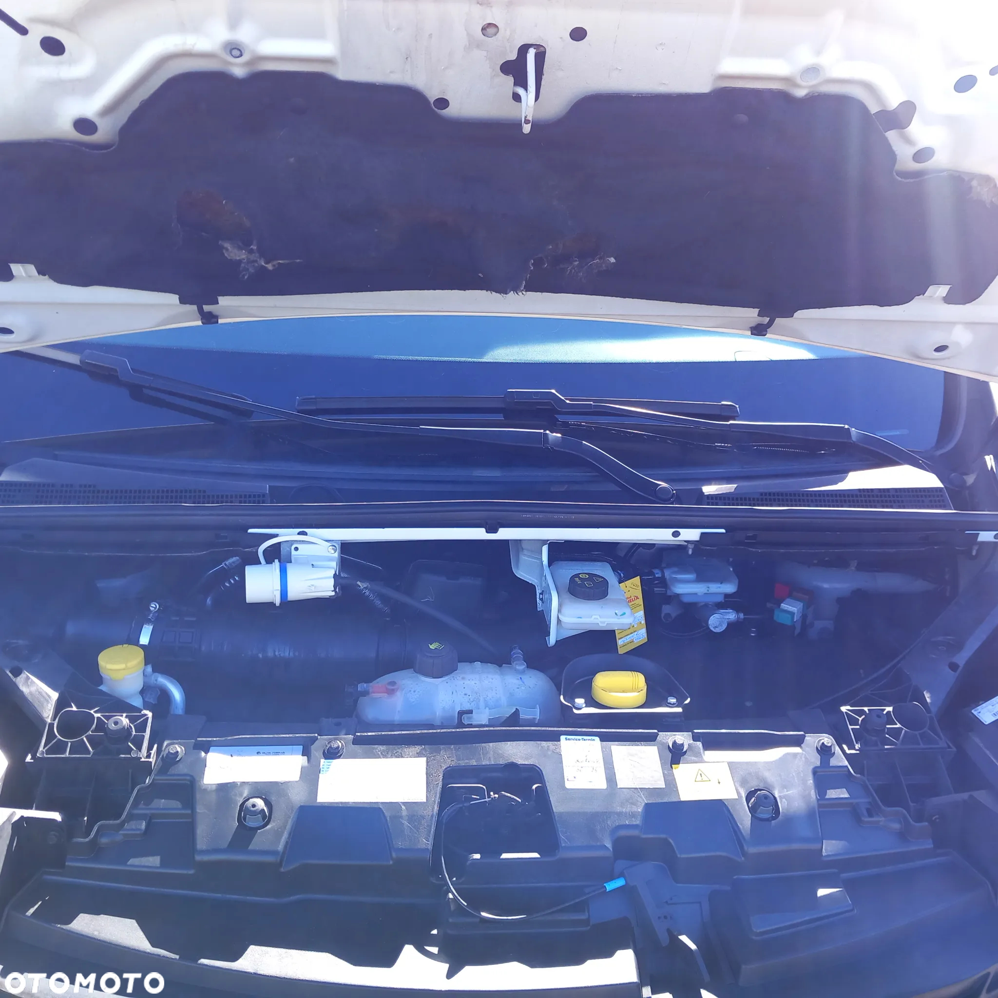 Renault Trafic - 34