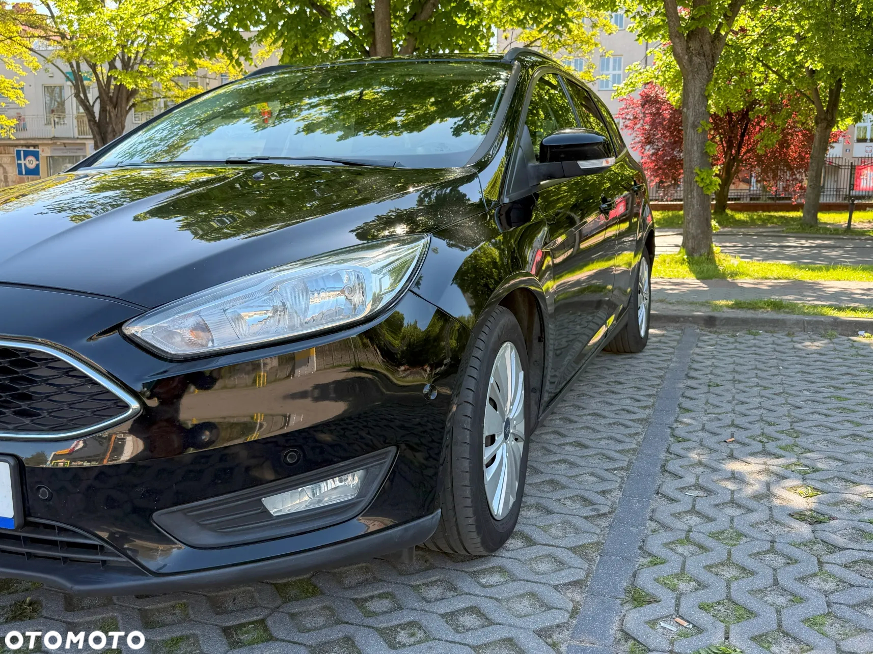 Ford Focus - 6