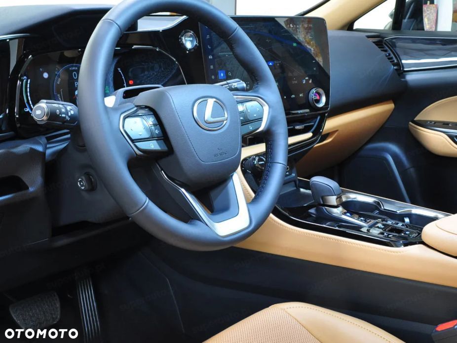 Lexus NX - 12