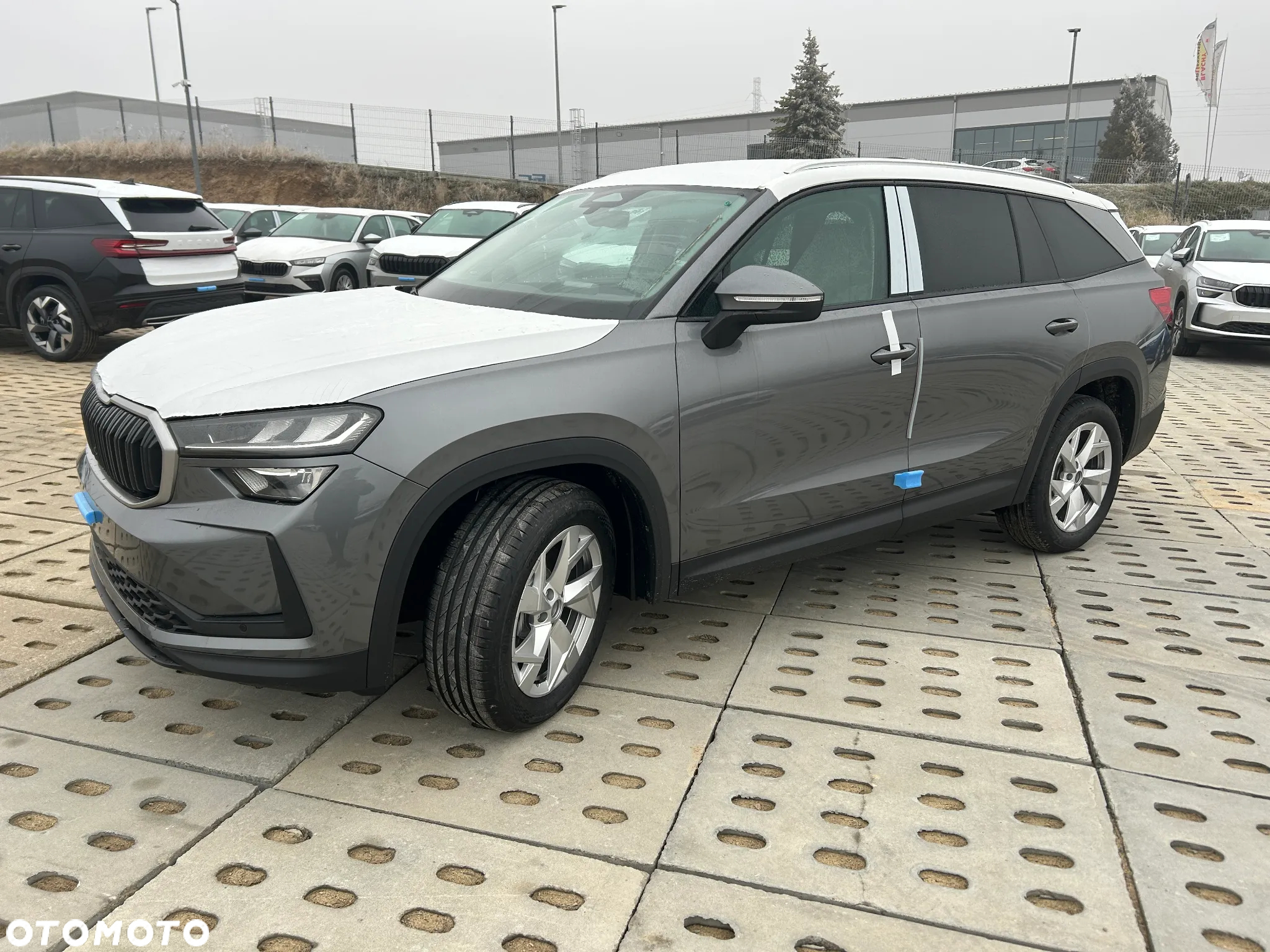 Skoda Kodiaq 1.5 TSI mHEV 4x2 Edition 130 DSG - 6