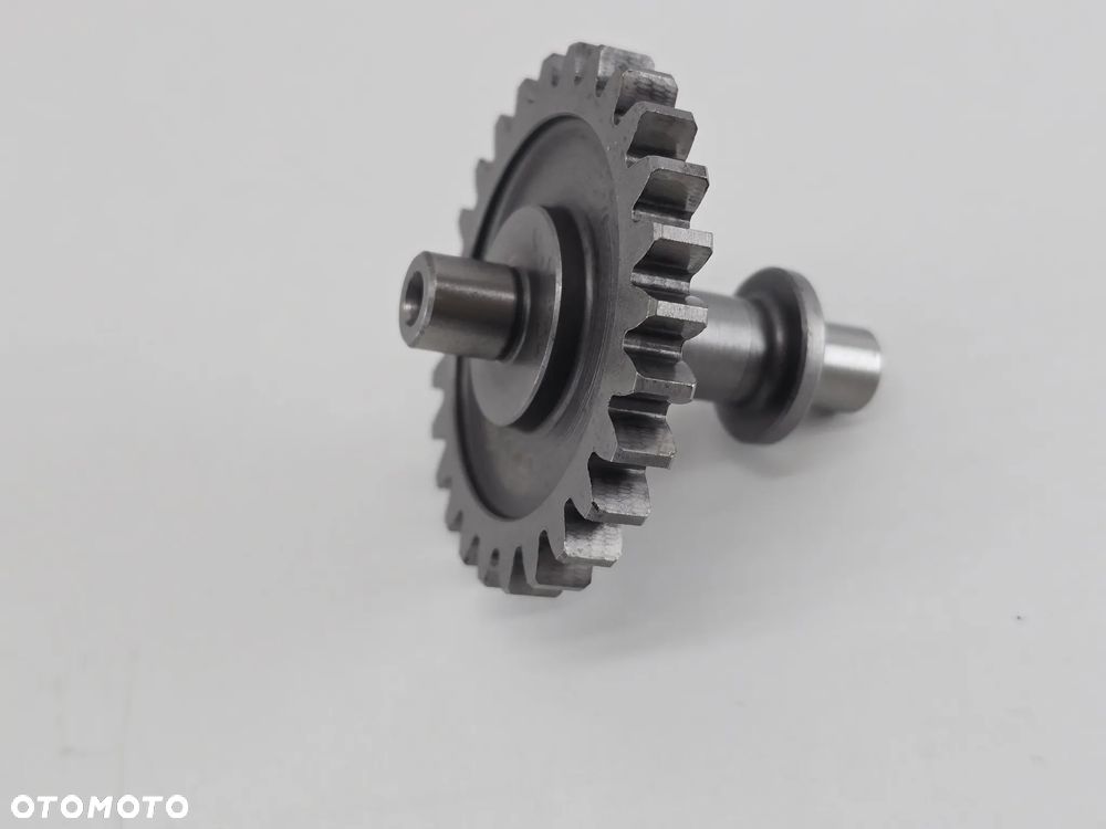 TRYB WALEK KOLO ZEBATE  TRIUMPH SCRAMBLER 400 SPEED - 1