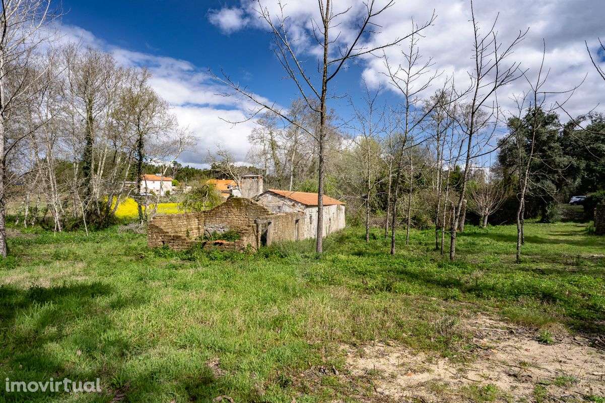 Quinta  para venda - Grande imagem: 5/19