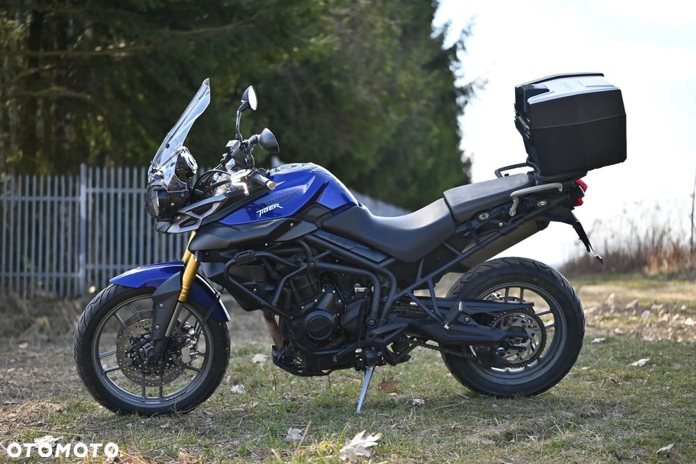 Triumph Tiger - 11