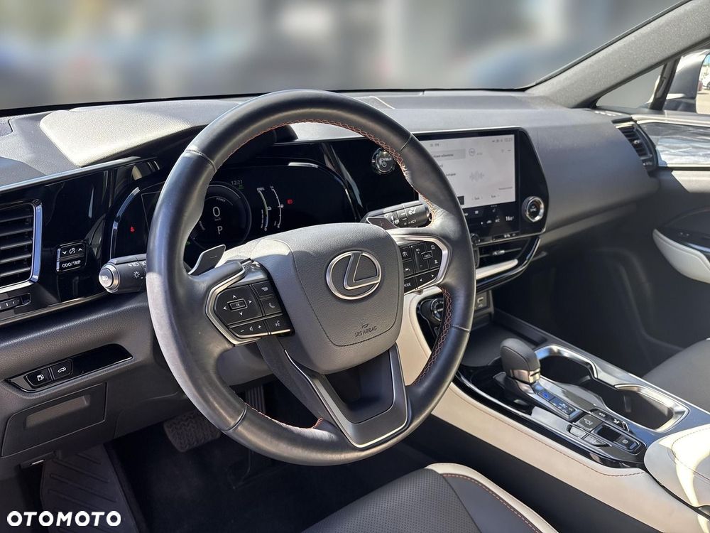Lexus NX - 16