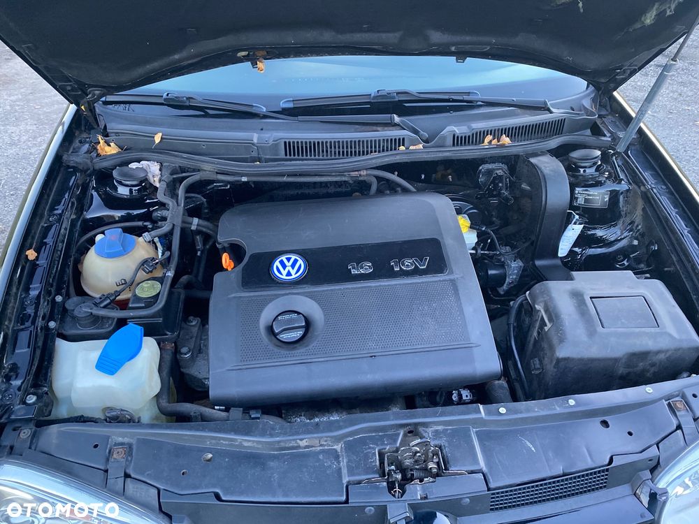 Volkswagen Golf - 8