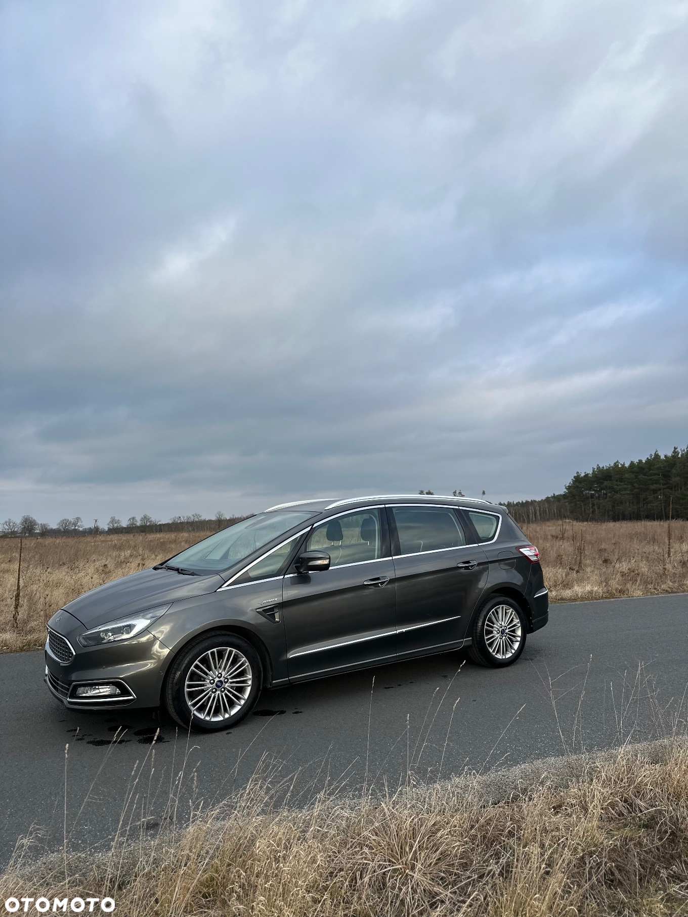 Ford S-Max 2.0 EcoBlue Vignale - 15