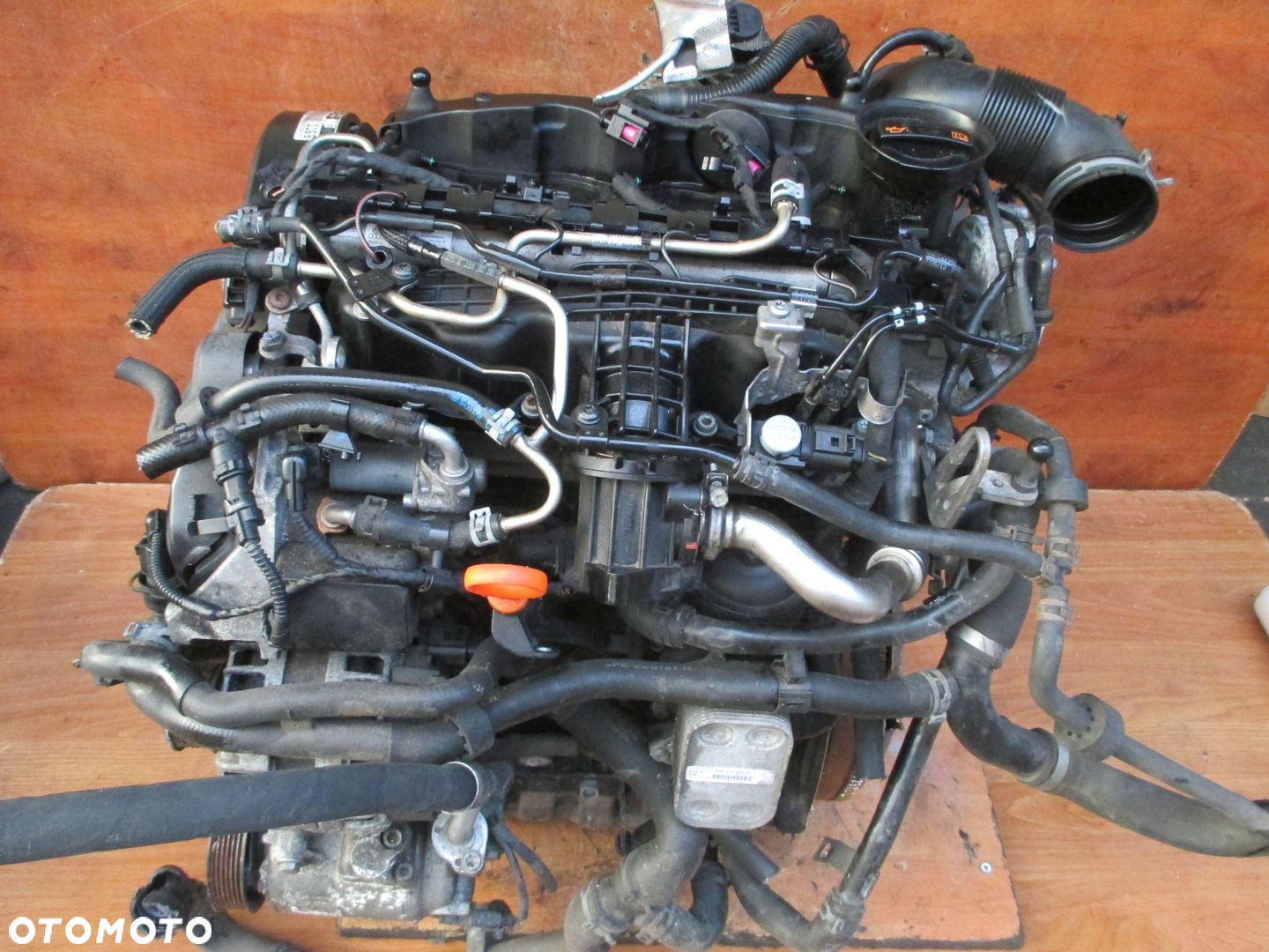 VW TRANSPORTER T6 2.0TDI GŁOWICA 04L103403A po regeneracji gotowa zrobiona - 10