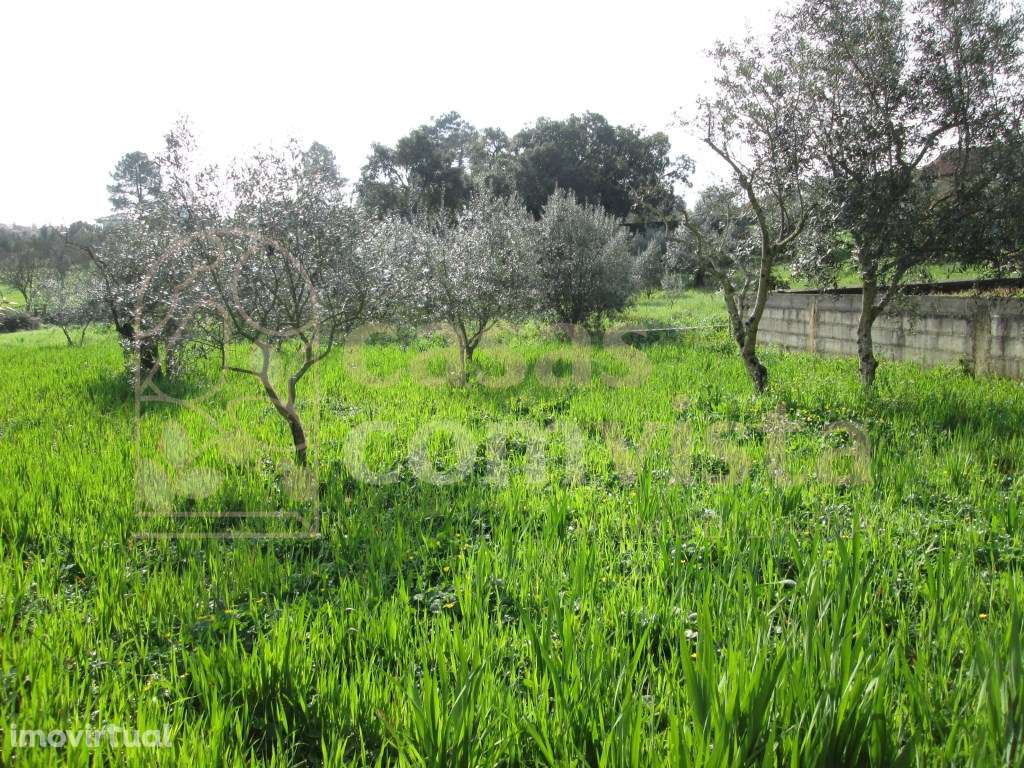 Lote Construção/ Fátima /Ourém - Grande imagem: 4/23