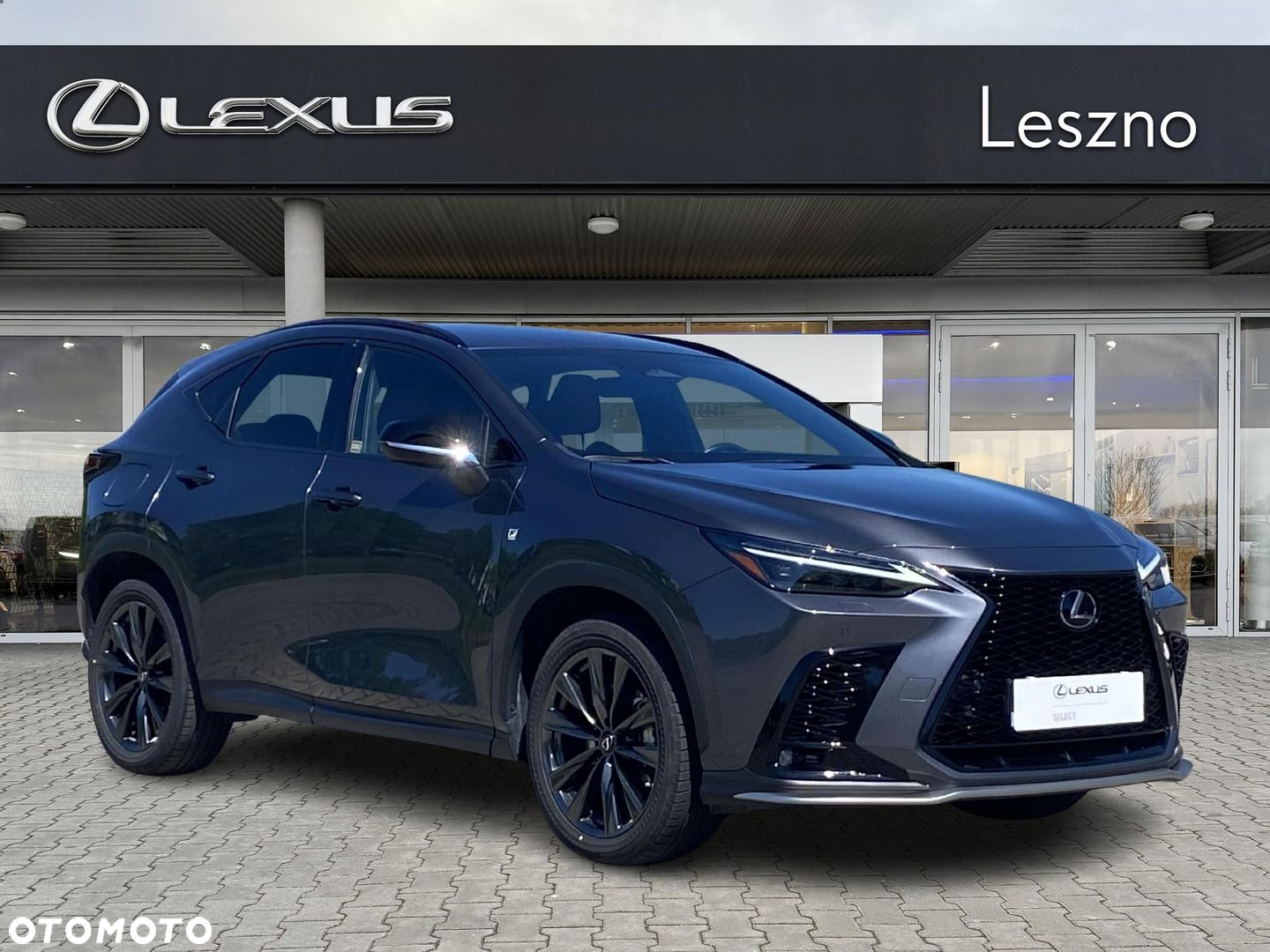 Lexus NX - 5