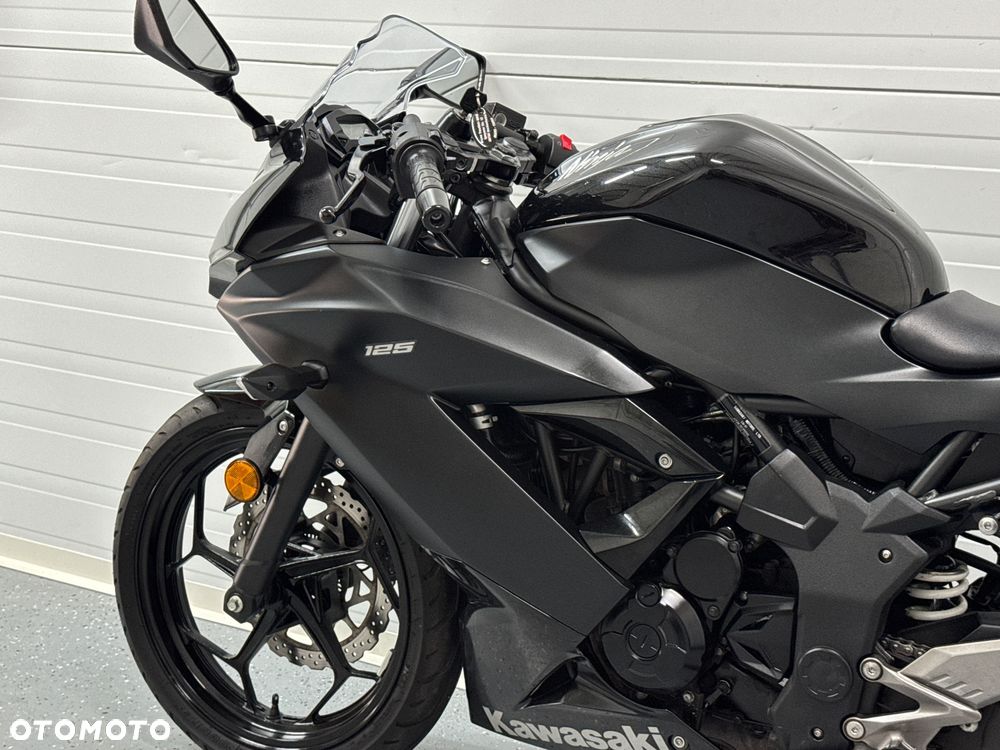 Kawasaki Ninja - 21
