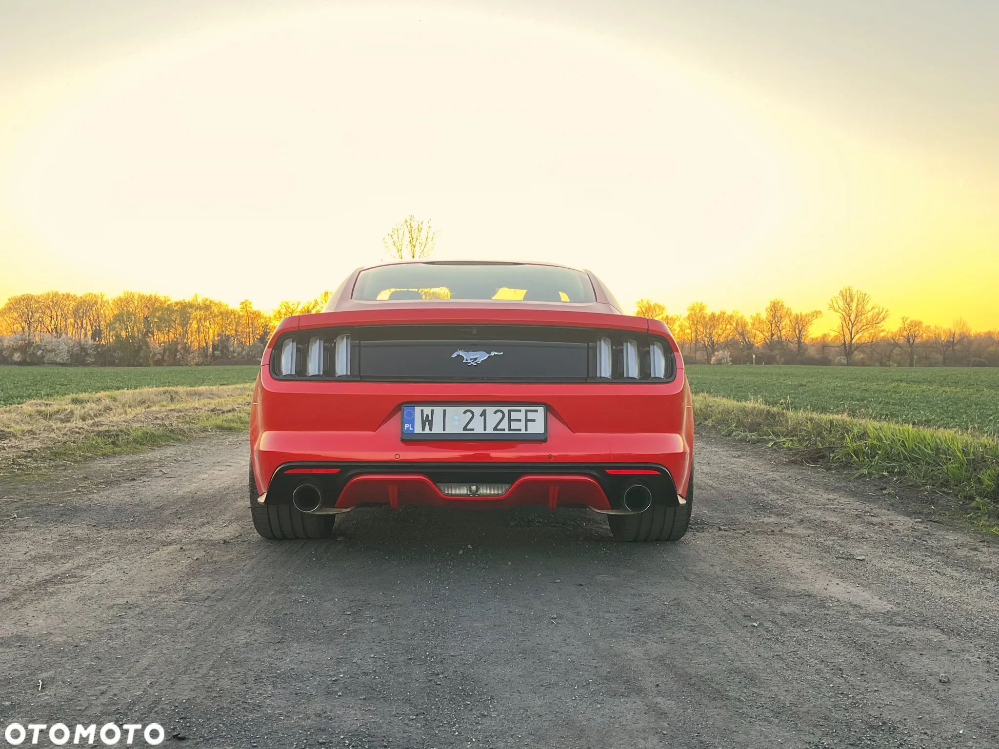 Ford Mustang 5.0 V8 GT - 9