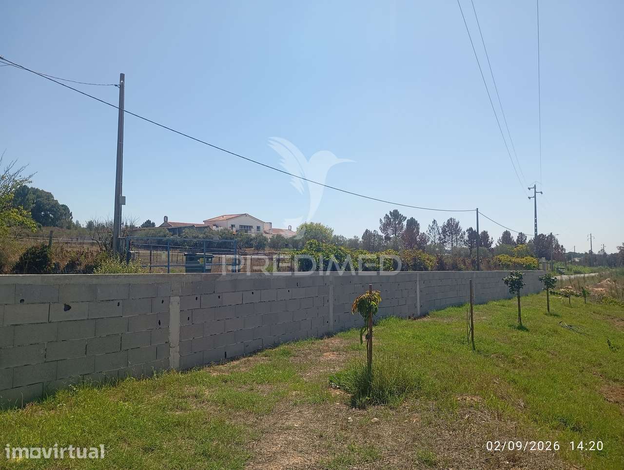Terreno argricula para construção de armazem de 220 m2 em Alpiarça... - Grande imagem: 3/7
