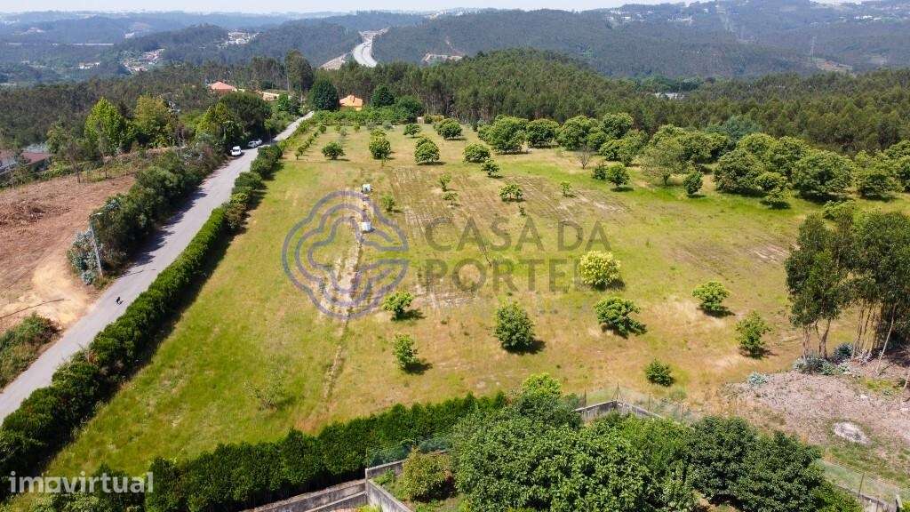 Quinta Rural com Potencial em Canedo, Santa Maria da Feira - Grande imagem: 3/29