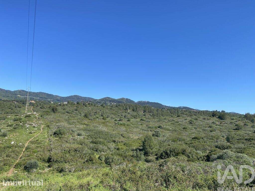 Terreno em Alcabideche de 8920,00 m2 - Grande imagem: 5/17