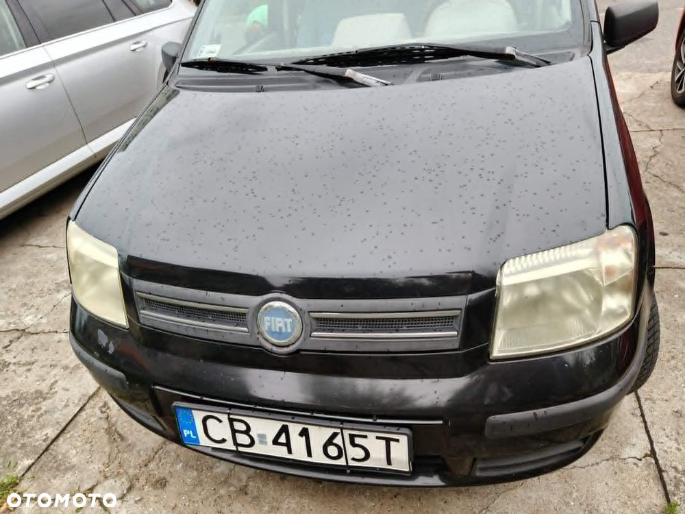 Fiat Panda 1.2 Dynamic Alaska - 5