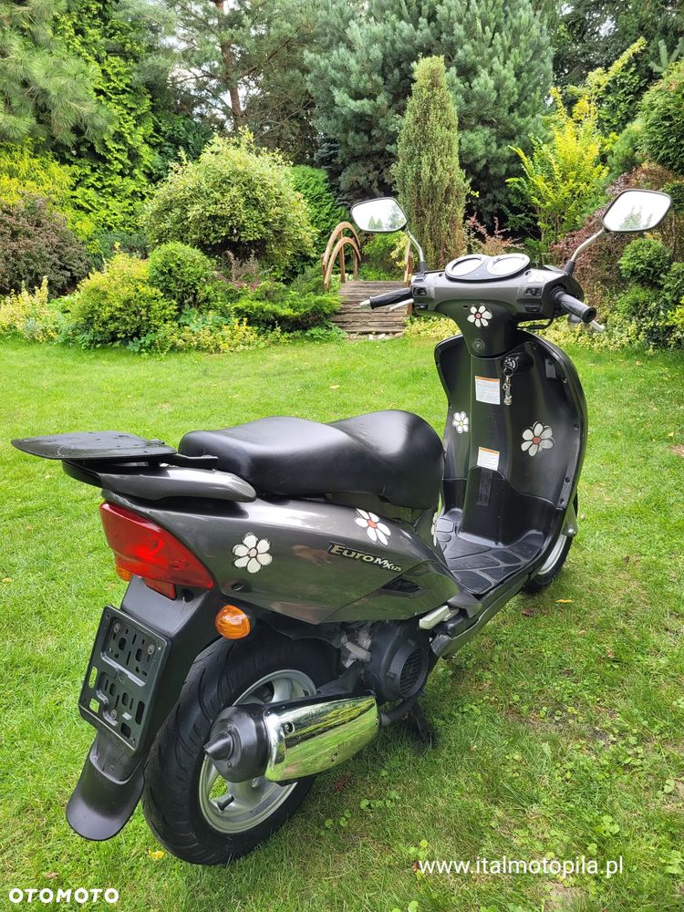 SYM Inny - 31