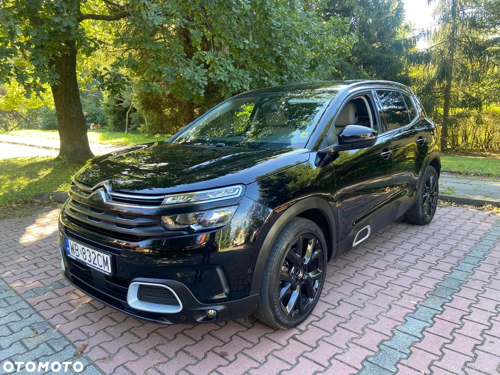 Citroën C5 Aircross 1.5 BlueHDi Feel EAT8 - 1