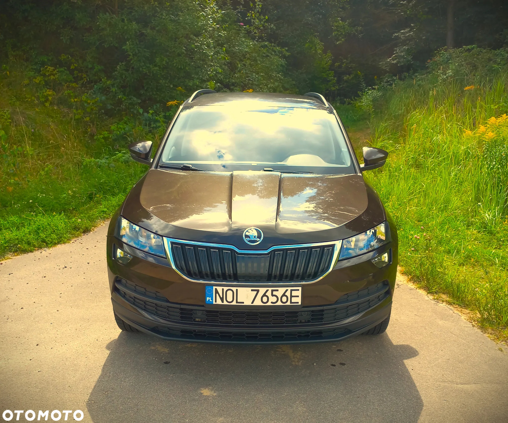 Skoda Karoq - 6