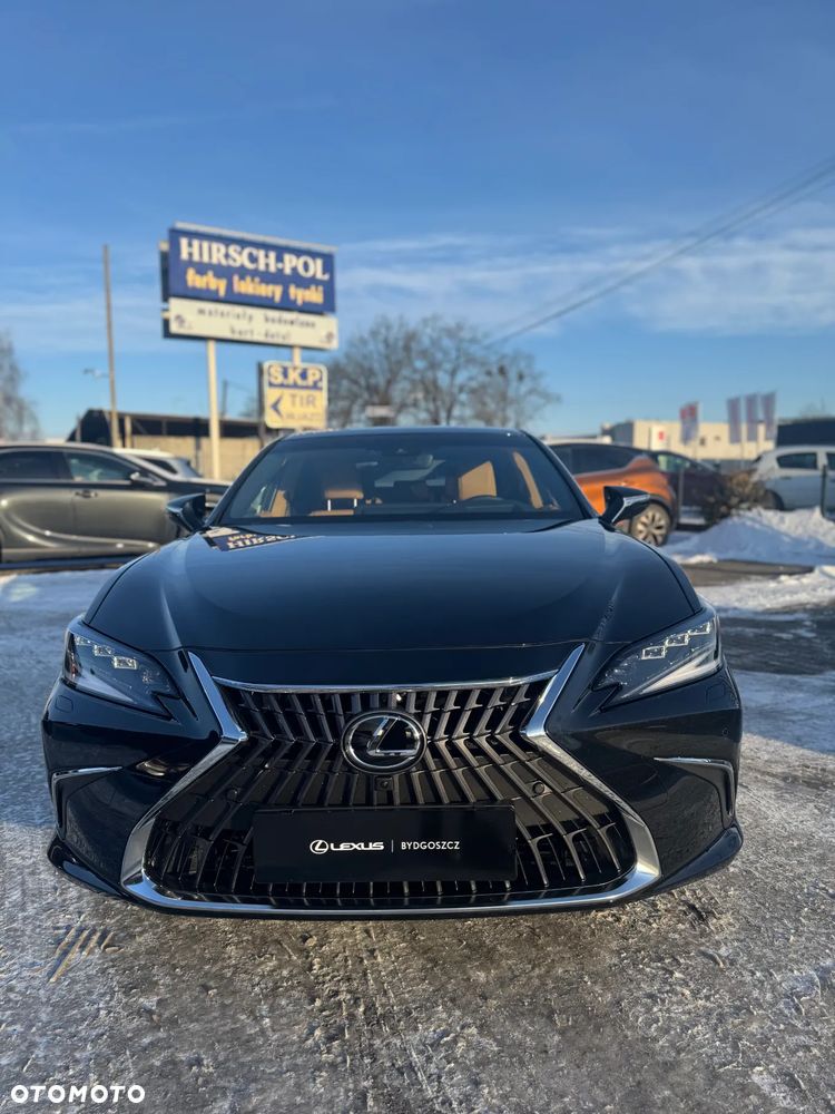 Lexus ES 300h Omotenashi - 8