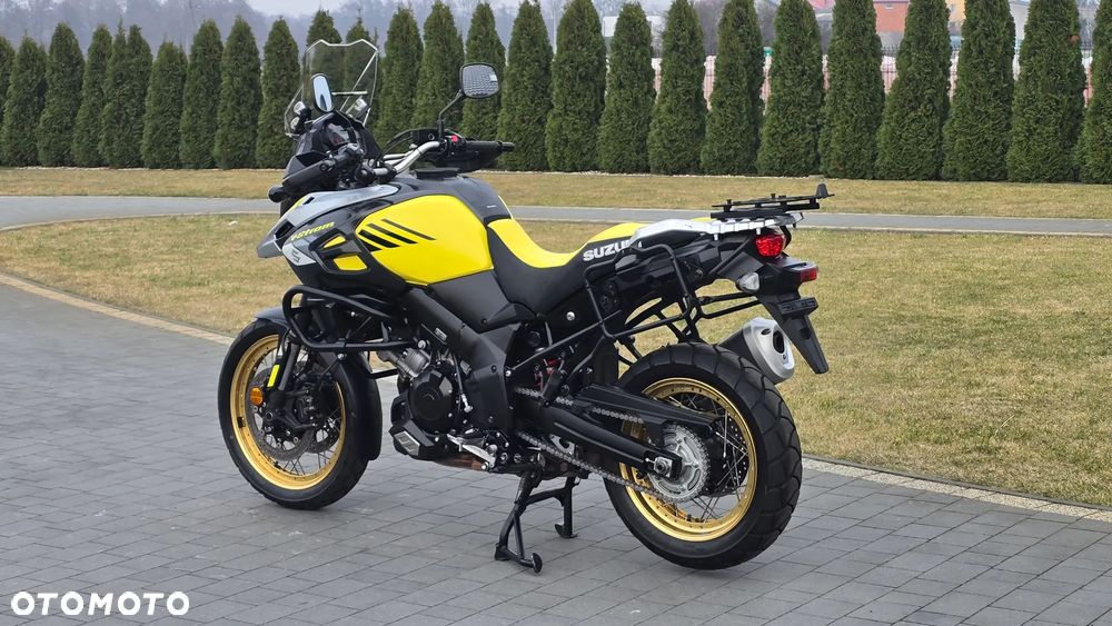 Suzuki DL - 10
