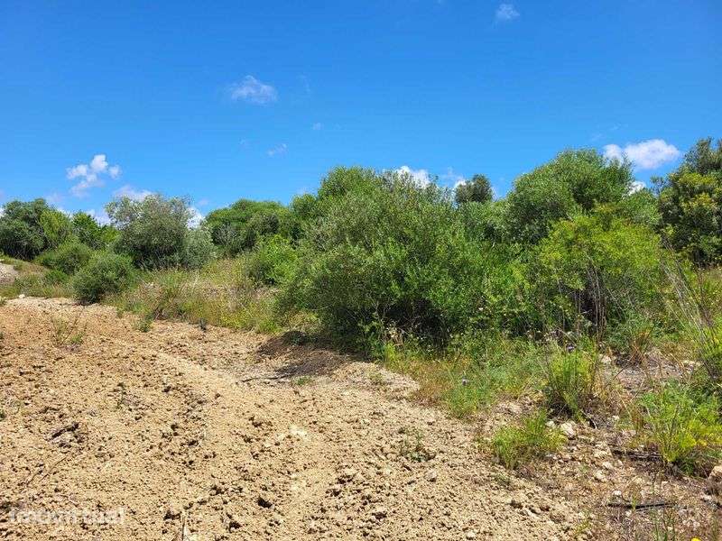 Vendo Terreno com furo água em Algoz - Grande imagem: 5/5
