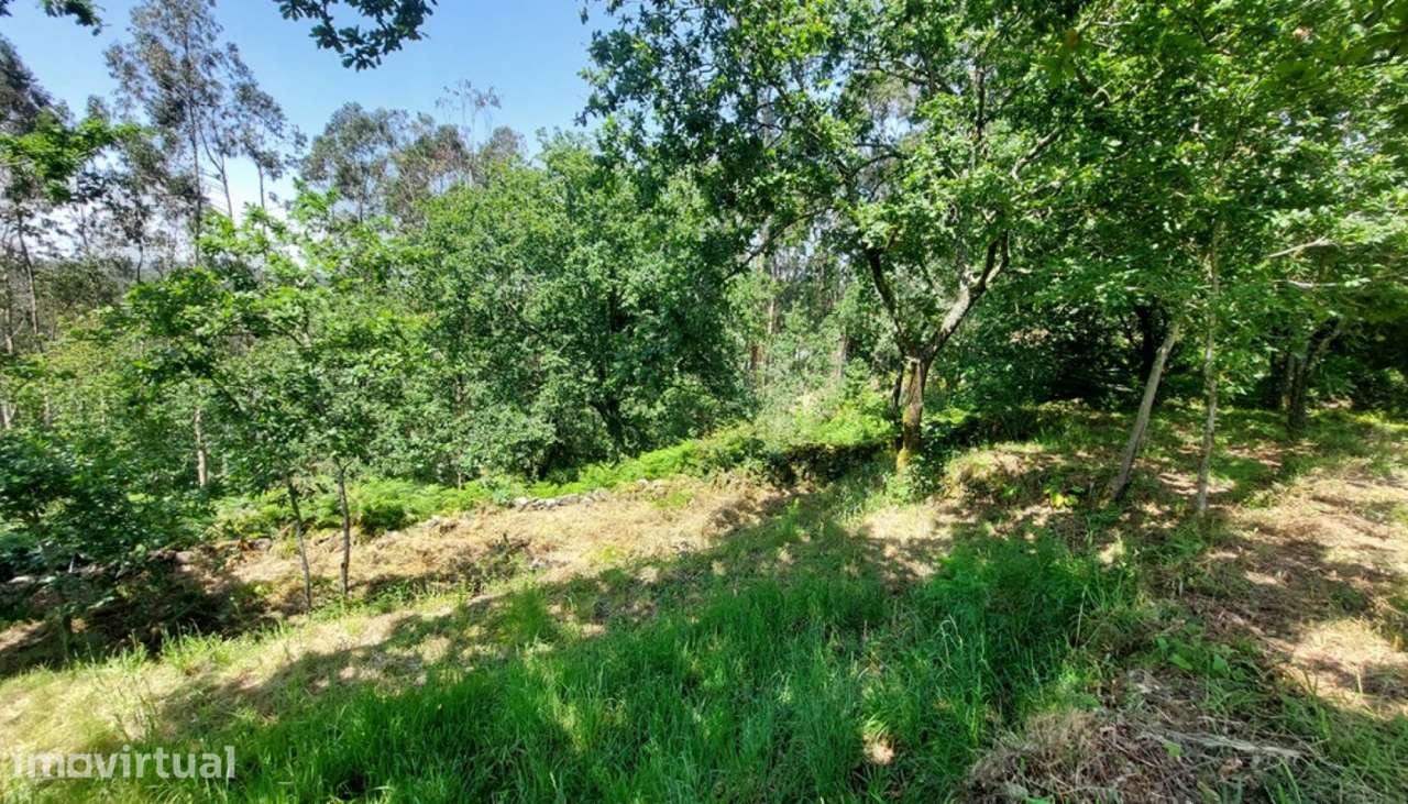 Venda de terreno para construção, Vila de Punhe, Viana do Castelo - Grande imagem: 4/30