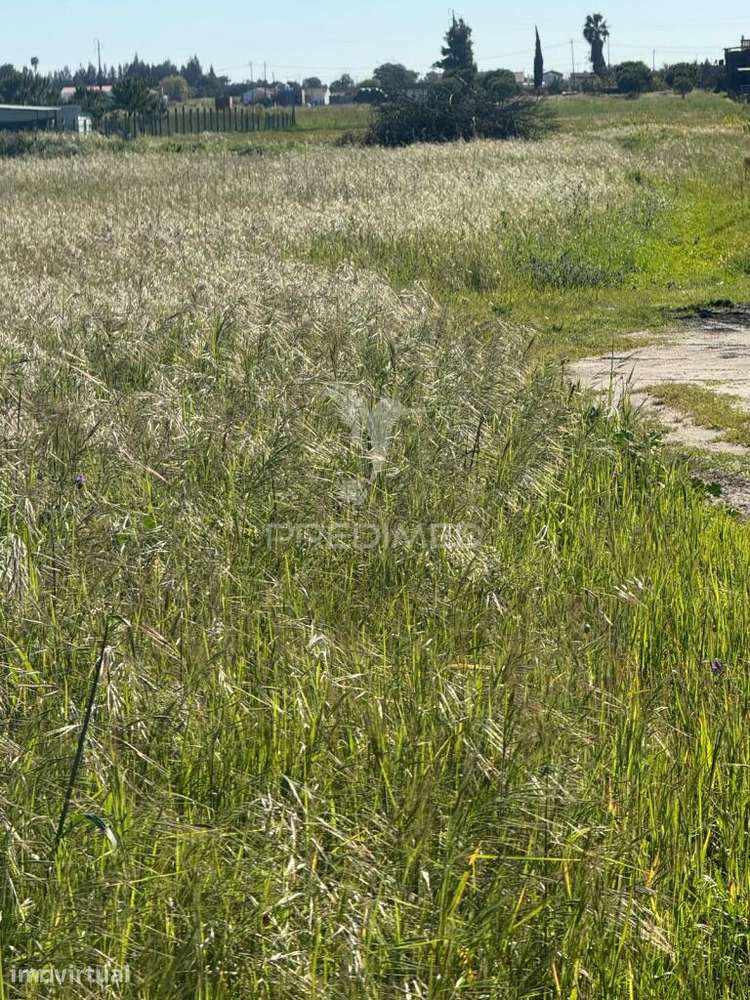 Terreno Misto a Venda - Grande imagem: 5/6