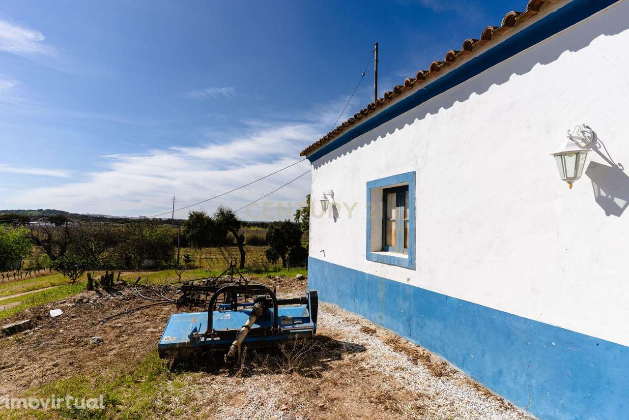 Monte Alentejano "Corval" Reguengos de Monsaraz com  54 250m2 de vinha - Grande imagem: 4/29