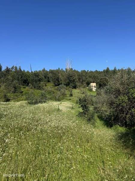 Terreno Rustico Monchique - Grande imagem: 2/5