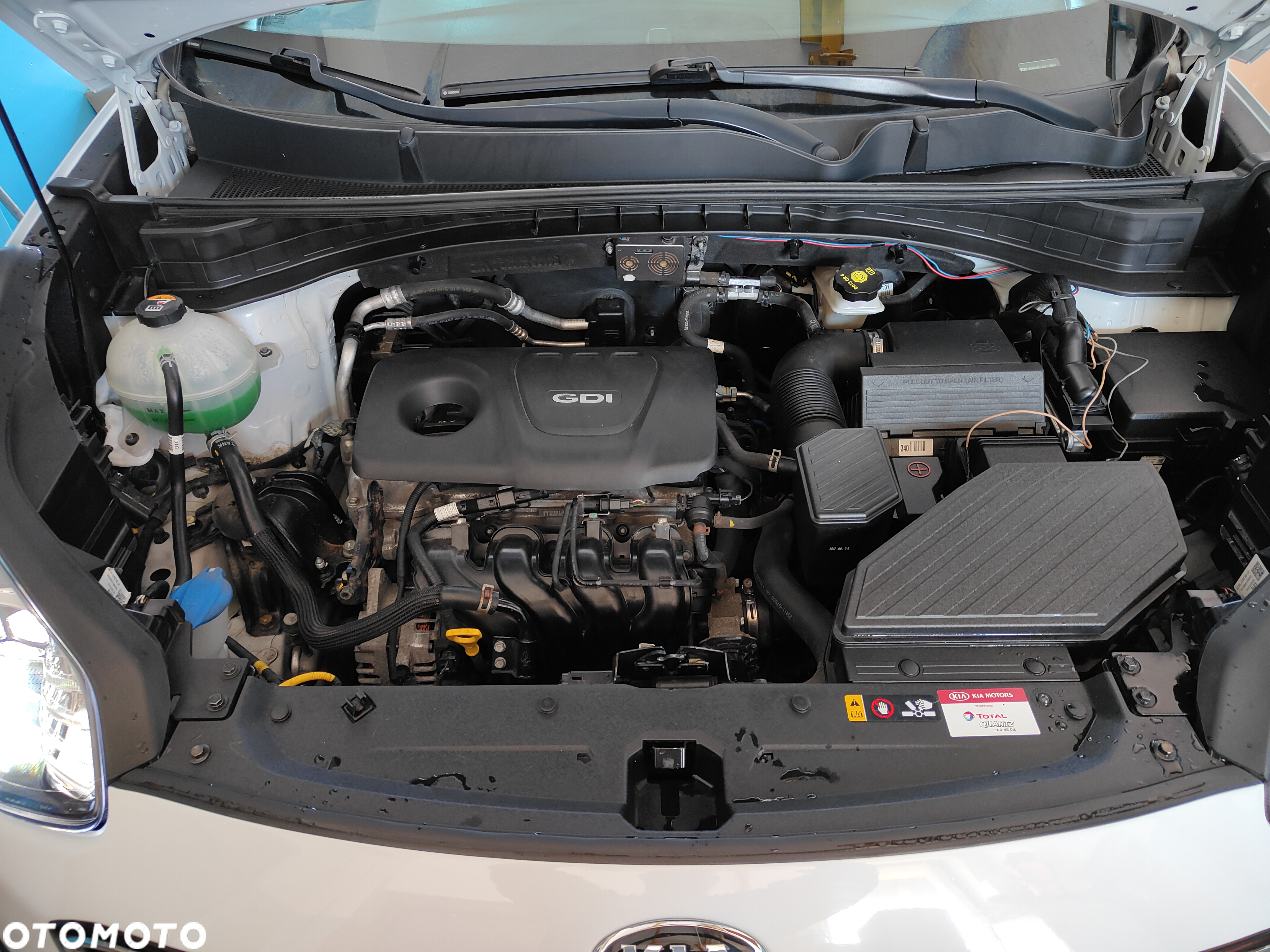 Kia Sportage - 24