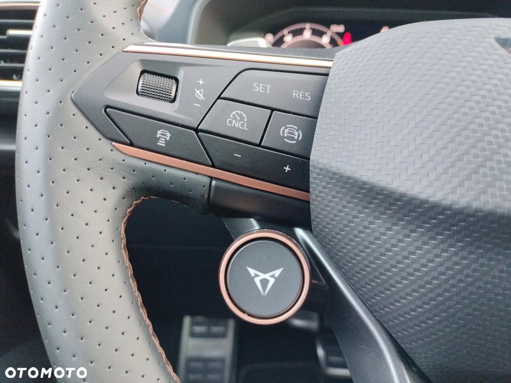 Cupra Formentor - 25