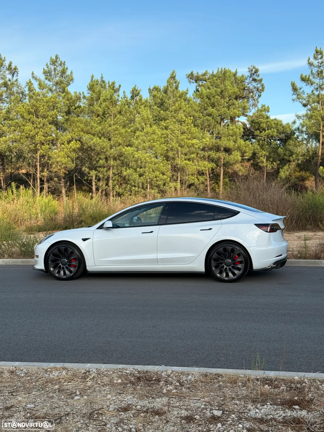 Tesla Model 3 Performance Tração Integral - 14