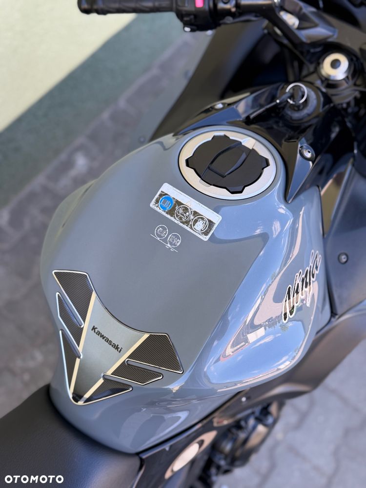 Kawasaki Ninja - 17